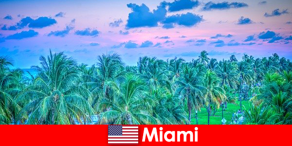 Miami menakjubkan alam semulajadi dengan hutan tropika yang hebat
