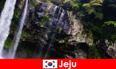Jeju di Korea Selatan pulau gunung berapi subtropika dengan hutan yang menakjubkan untuk warga asing