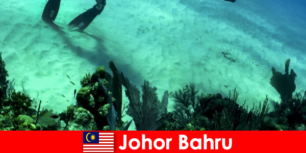 Aktiviti pengembaraan di Menyelam Johor Bahru, memanjat, Kembara Berjalan kaki dan banyak lagi