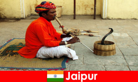 Di Jaipur India, pelancong alami tarian ular dan hiburan di jalanan yang sibuk
