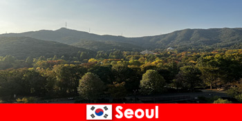 Pakej Percutian Kumpulan Popular ke Seoul Korea Selatan