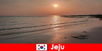 Destinasi impian untuk majlis perkahwinan dan tetamu dari luar negara di Jeju Korea Selatan