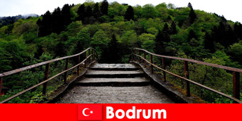 Suhu ringan adalah masa terbaik untuk mendaki untuk pelancong di Bodrum Turki