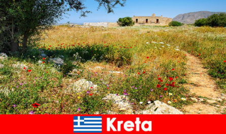 Makanan Mediterranean yang sihat dengan pengalaman alam semula jadi menanti pelancong di Crete Greece