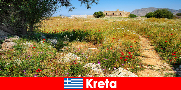 Makanan Mediterranean yang sihat dengan pengalaman alam semula jadi menanti pelancong di Crete Greece