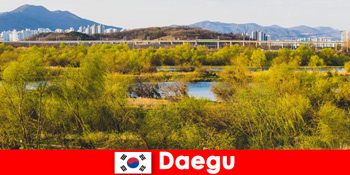 Petua Pengembara Bebas Teratas di Daegu, Korea Selatan
