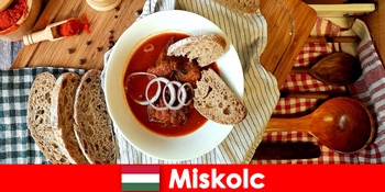 Tetamu menikmati tempat dan budaya di Miskolc Hungary