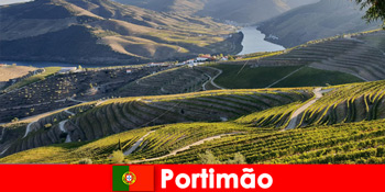 Tetamu suka rasa wain dan makanan istimewa di pergunungan Portimão Portugal