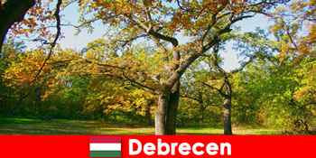 Percutian spa untuk pesara di Debrecen Hungary dengan banyak hati